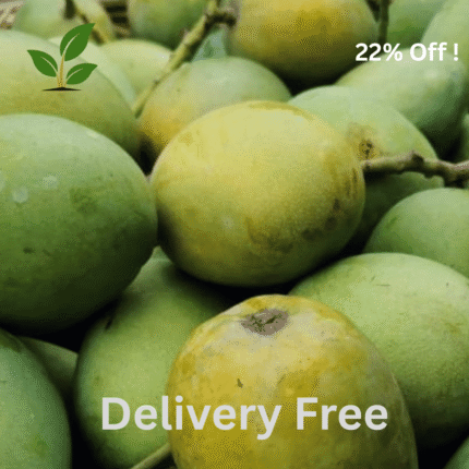 🥭 ২২ কেজি হিমসাগর আম – রাজশাহীর খাঁটি স্বাদ | Delivery Free!