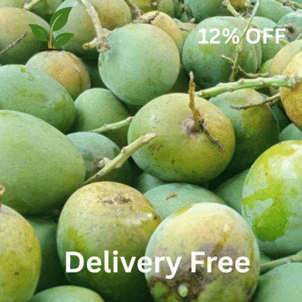গোপালভোগ ২২ কেজি | রাজশাহীর আসল আম 🥭